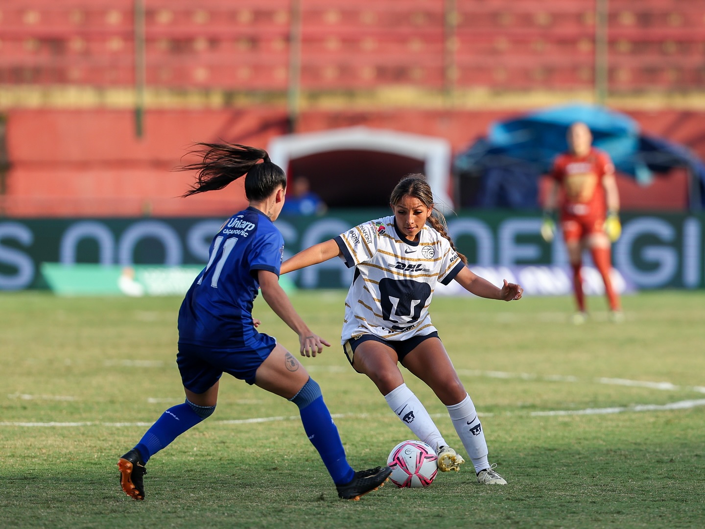 Pumas MX Femenil Pumas MX Femenil